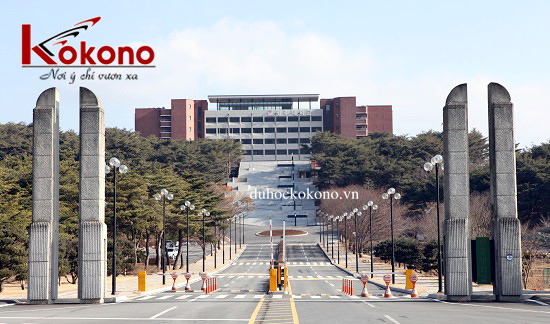 Đại học GyeongJu hợp tác với Kokono