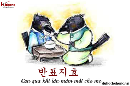 Học tiếng Hàn với thành ngữ bốn chữ 