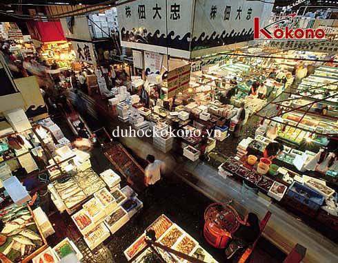  Du học Nhật Bản Kokono - Chợ cá Tsukiji tsukiji 