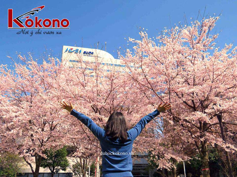 Du học Nhật Bản Kokono Trường Nhật ngữ Quốc tế Sendai 8-1
