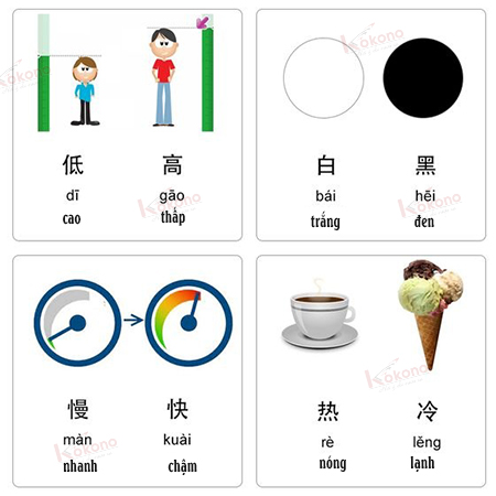 Từ Vựng tiếng Trung: Cặp từ trái nghĩa