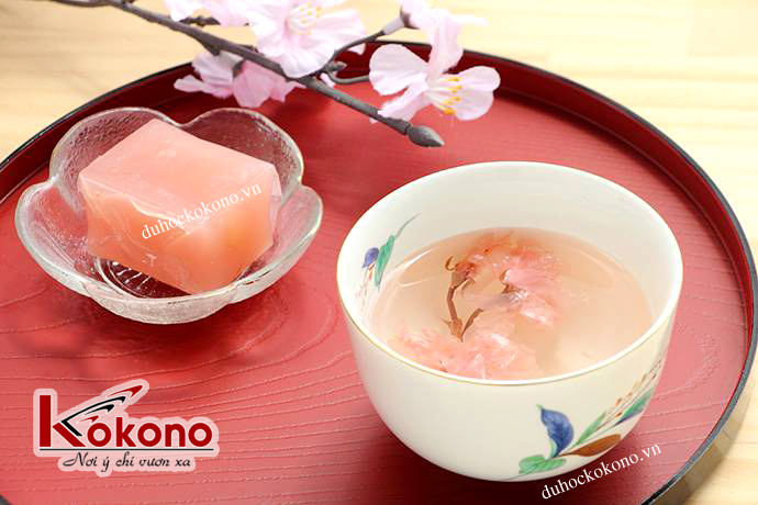 Hoa anh đào - Văn hóa ẩm thực Nhật Bản - Du học Nhật Bản Kokono 3