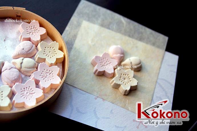 Hoa anh đào - Văn hóa ẩm thực Nhật Bản - Du học Nhật Bản Kokono 4