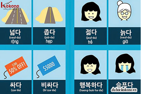 Học tiếng Hàn 