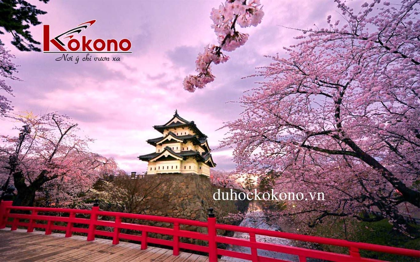 Tuyển sinh du học Nhật Bản kỳ tháng 10 năm 2017 - Du học Nhật Bản Kokono 1